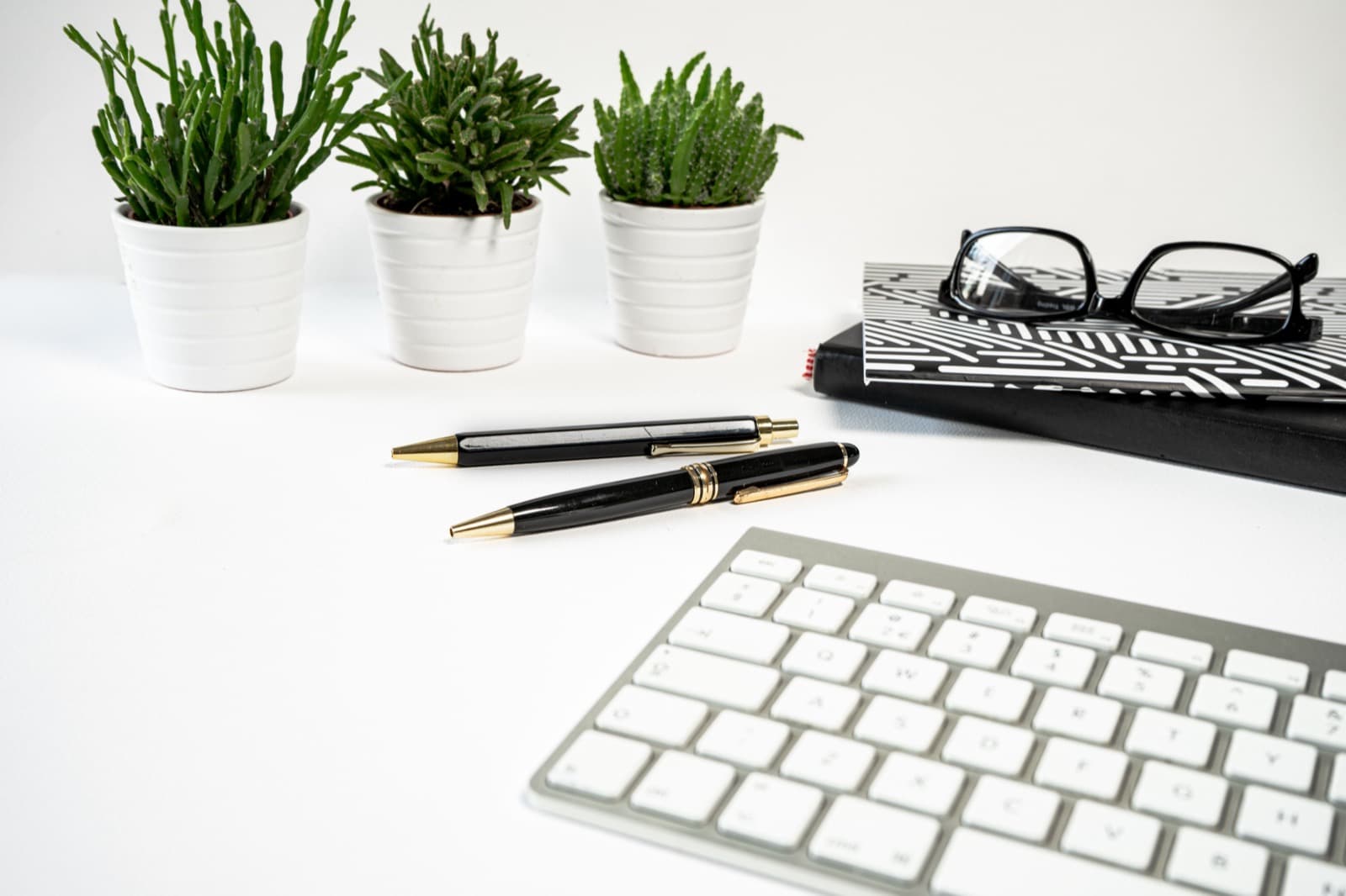 Espacio de trabajo con plantas y materiales de escritorio ordenados.